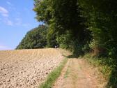  Blick auf die Wanderstrecke 